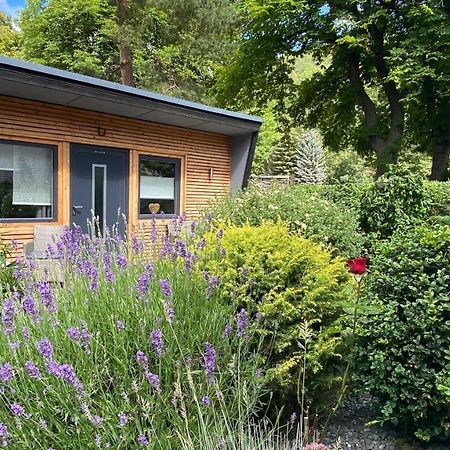 Das Ferienhaus Am Tiergarten Wernigerode Luaran gambar